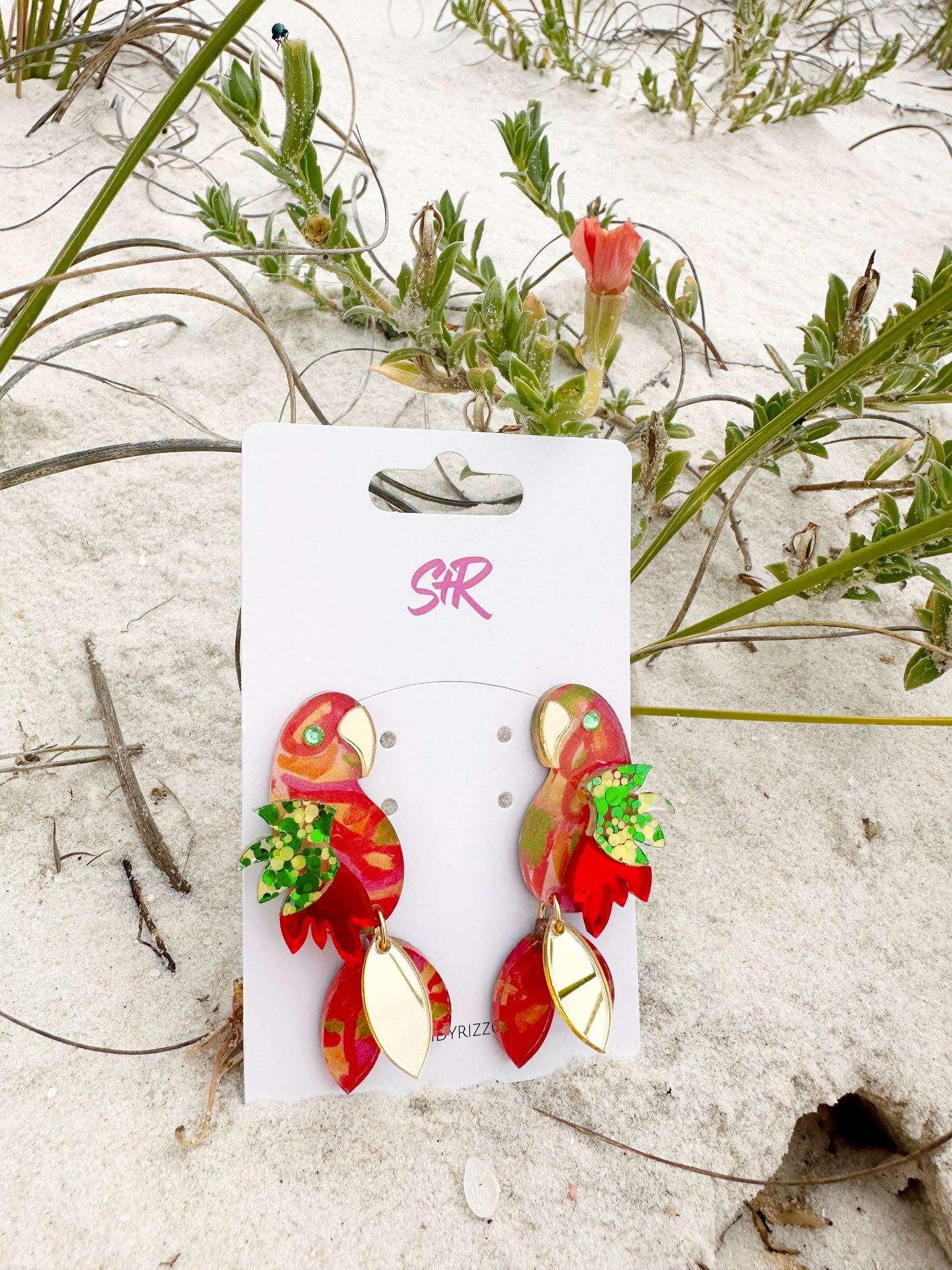 Rio Red Parrot