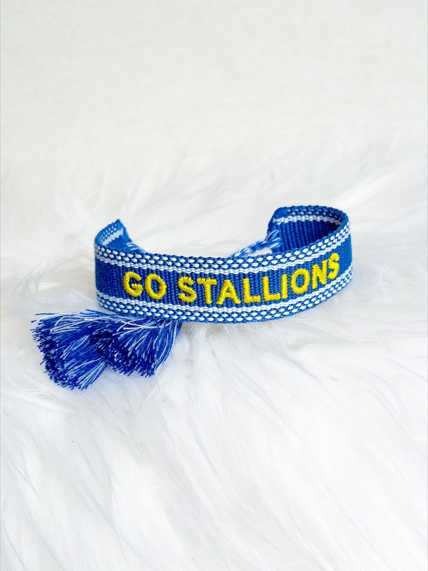 CMM Stallions Spirit Band