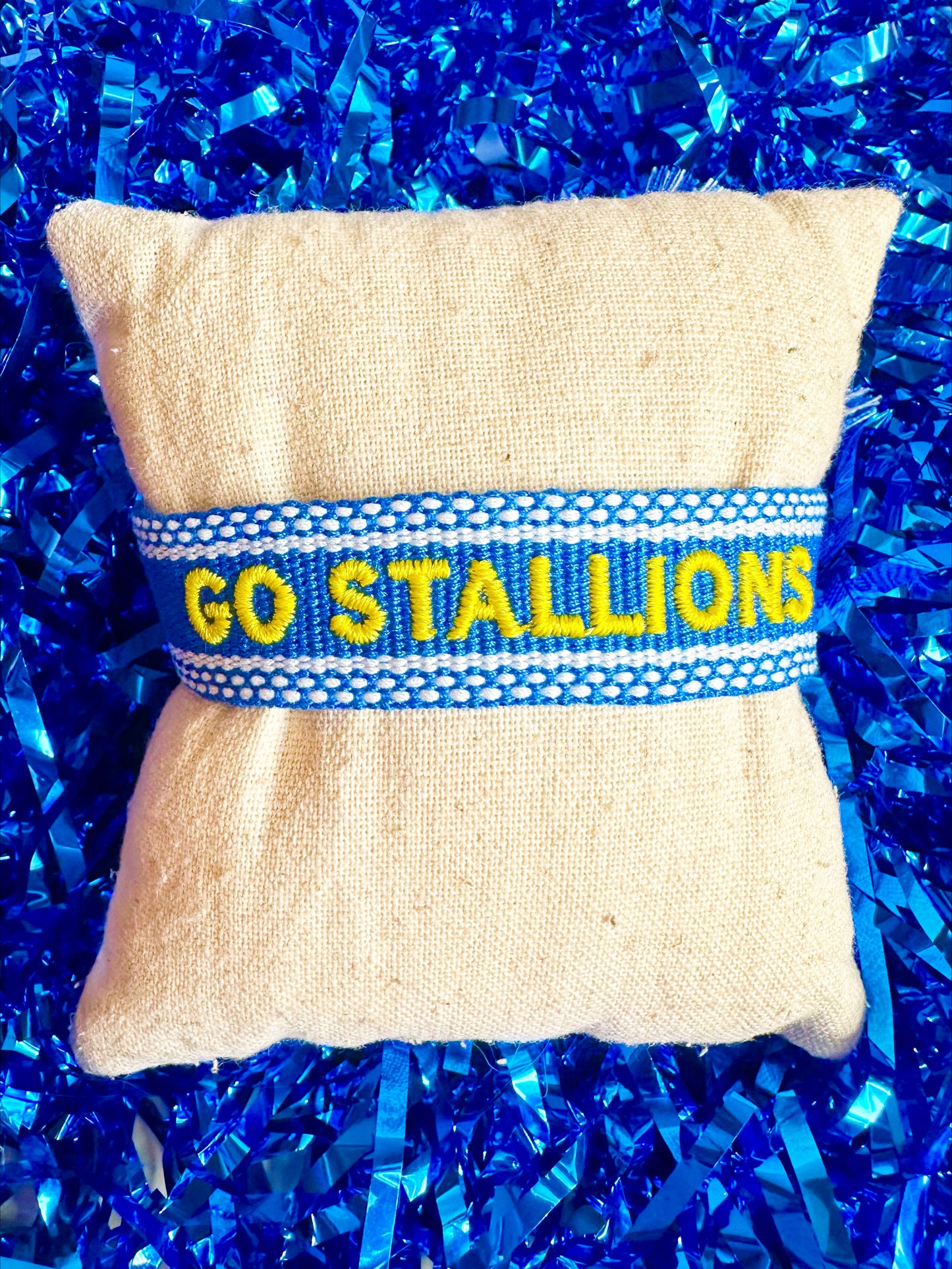 CMM Stallions Spirit Band