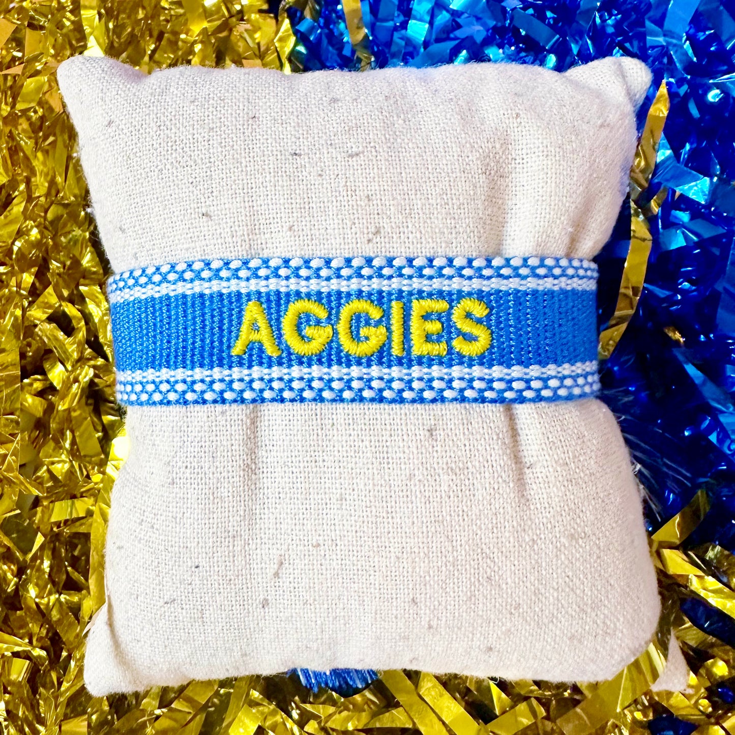 Aggies Spirit Band