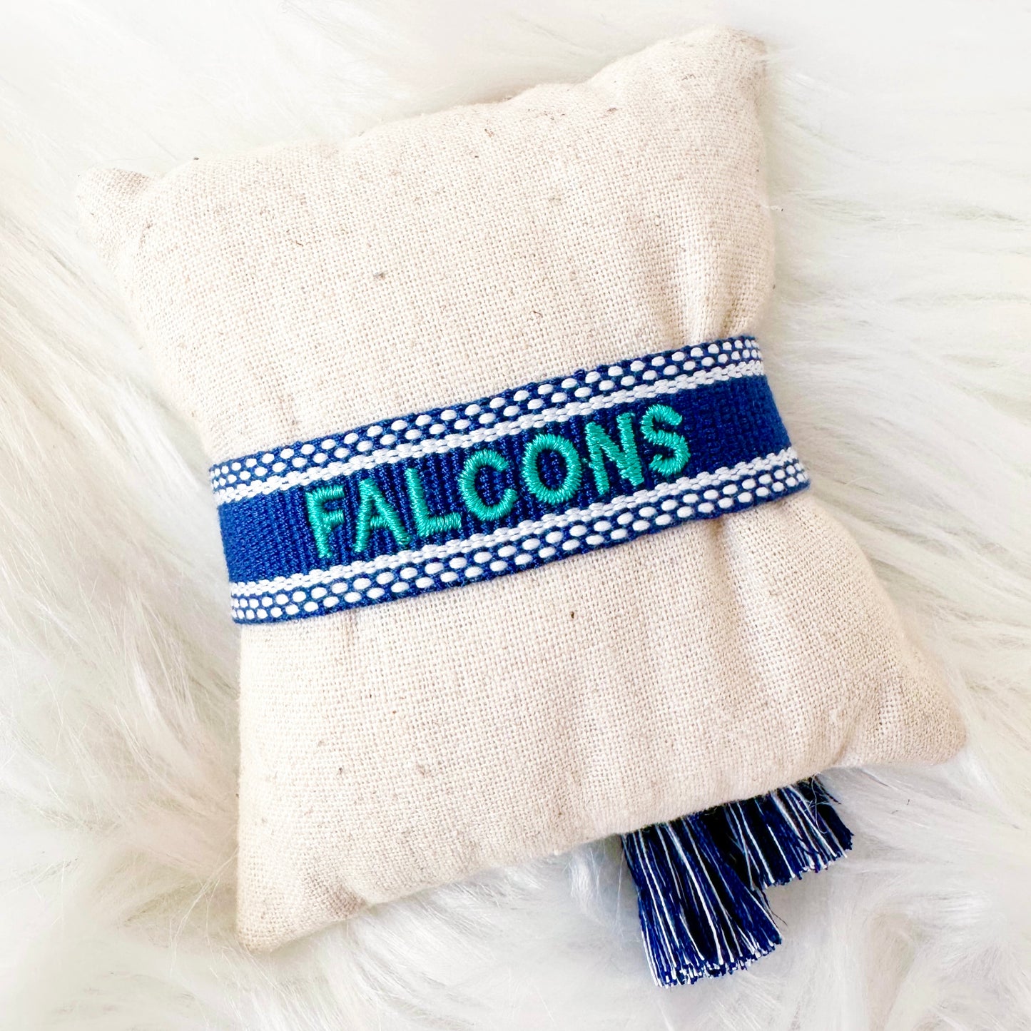 Falcons Spirit Band